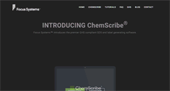 Desktop Screenshot of focussystems.com